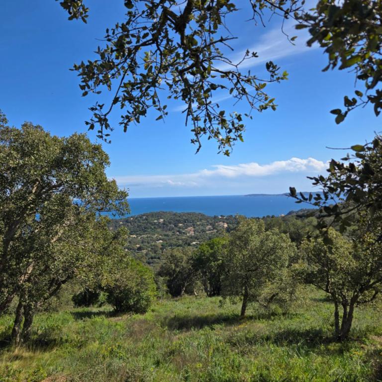 Appartement 4 personnes dans domaine privé, calme, plage - Appartamento con 1 Camera da Letto - 38