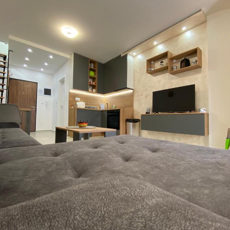 Apartman Centrum Divčibare - One-Bedroom Apartment - 7