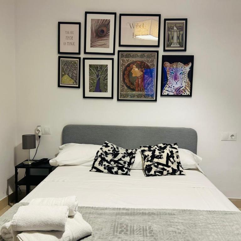 Economic apart Malaga centro - Studio - 1