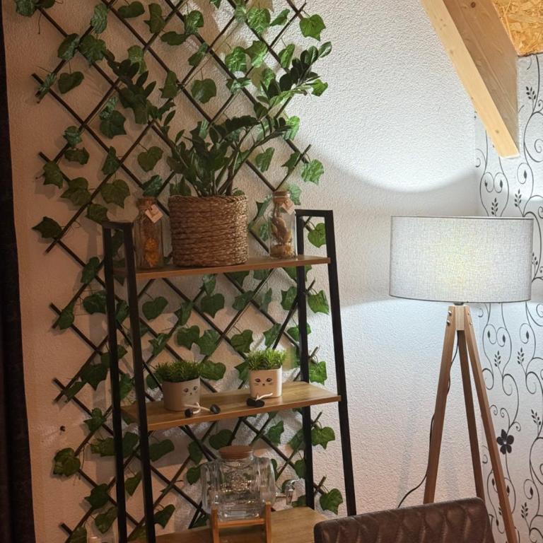 Kuća za odmor Villa Kovačević - Three-Bedroom Villa - 49