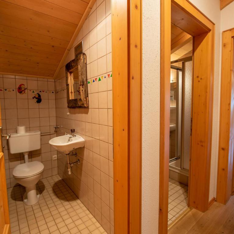 Haus Plattenkogel Top 11 - Apartamento con vistas a las montañas - 9