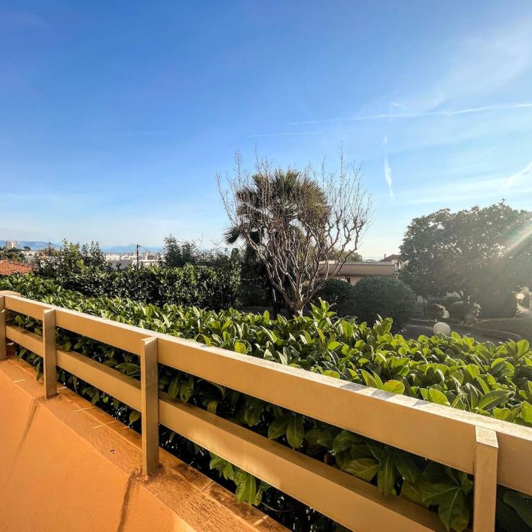 Serenity - Apartamento de 1 dormitorio - 13