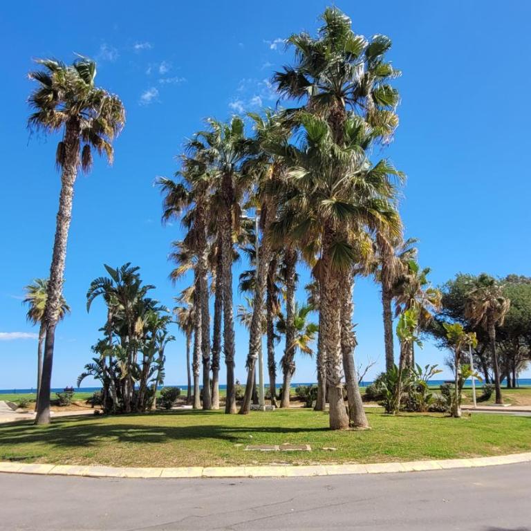 Mediterráneo Gourmet Stays - Apartamento de 2 dormitorios - 19