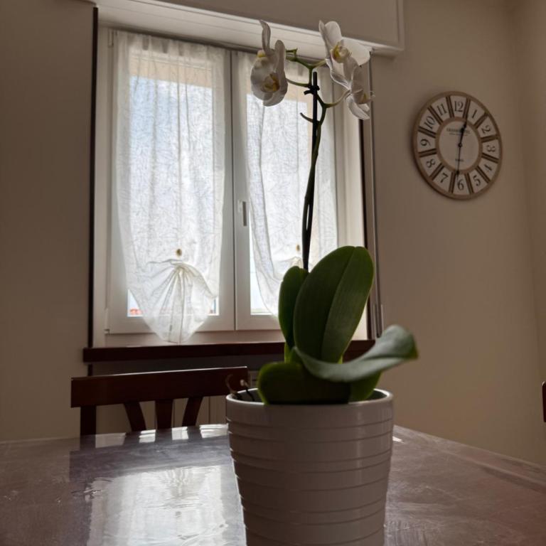 Alfredo's House Verona - Two-Bedroom Apartment - 14