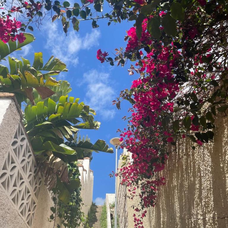Costa del Sol Marina - One-Bedroom Apartment - 54