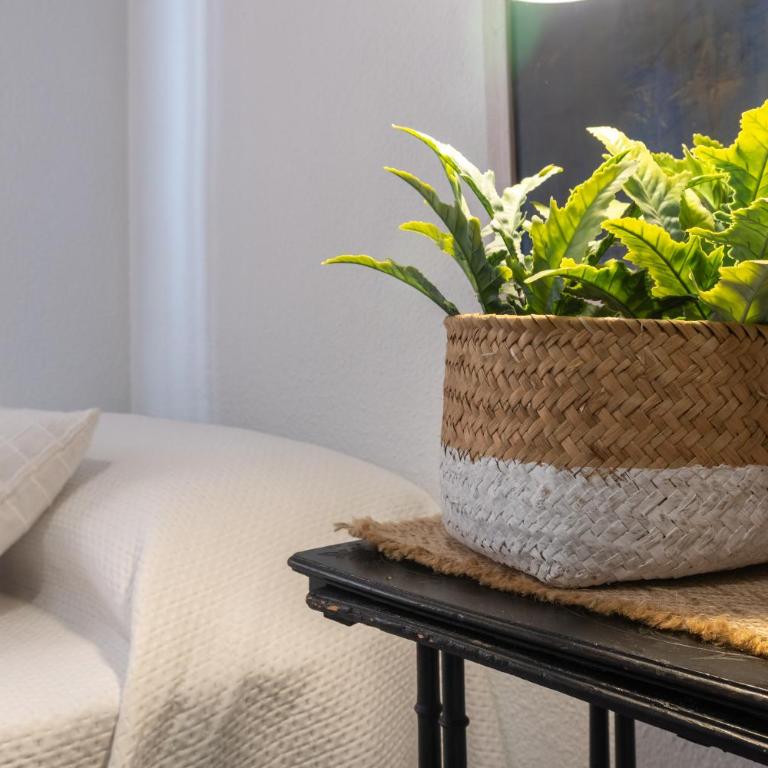 Califato Premium - Apartamento de 3 dormitorios - 36
