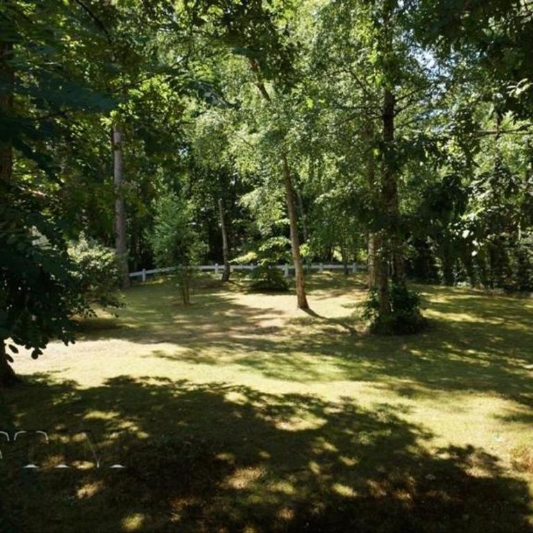 Maison d'architecte en forêt du Touquet - Villa 3 Chambres - 4