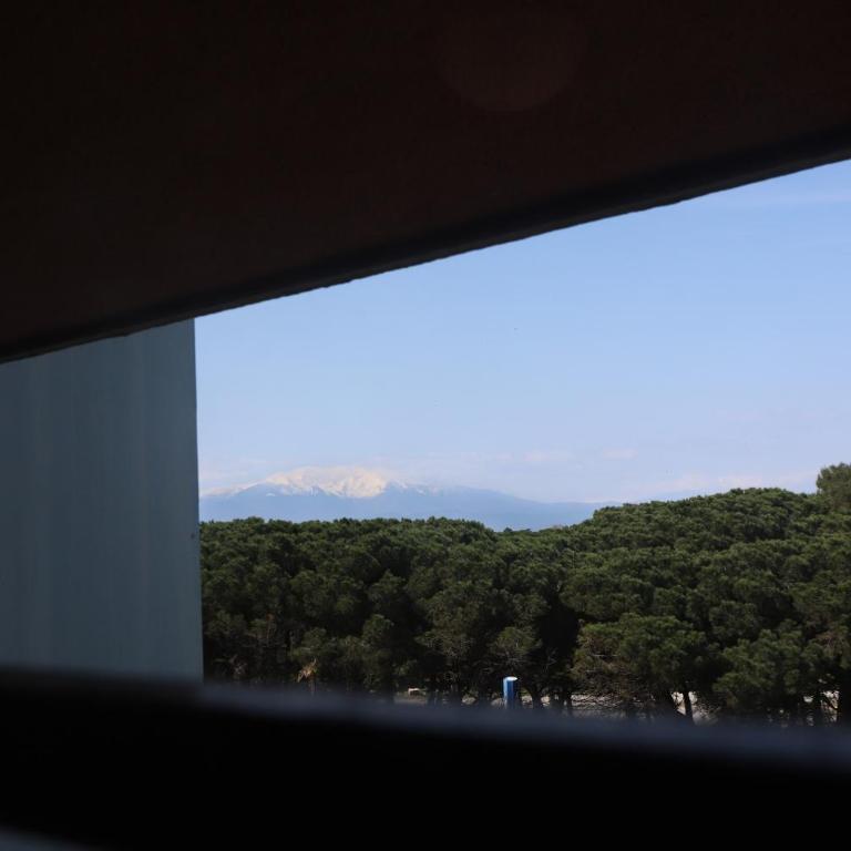 Magnifique vue mer Appart les pied dans l eau St Cyprien - Apartamento - 8