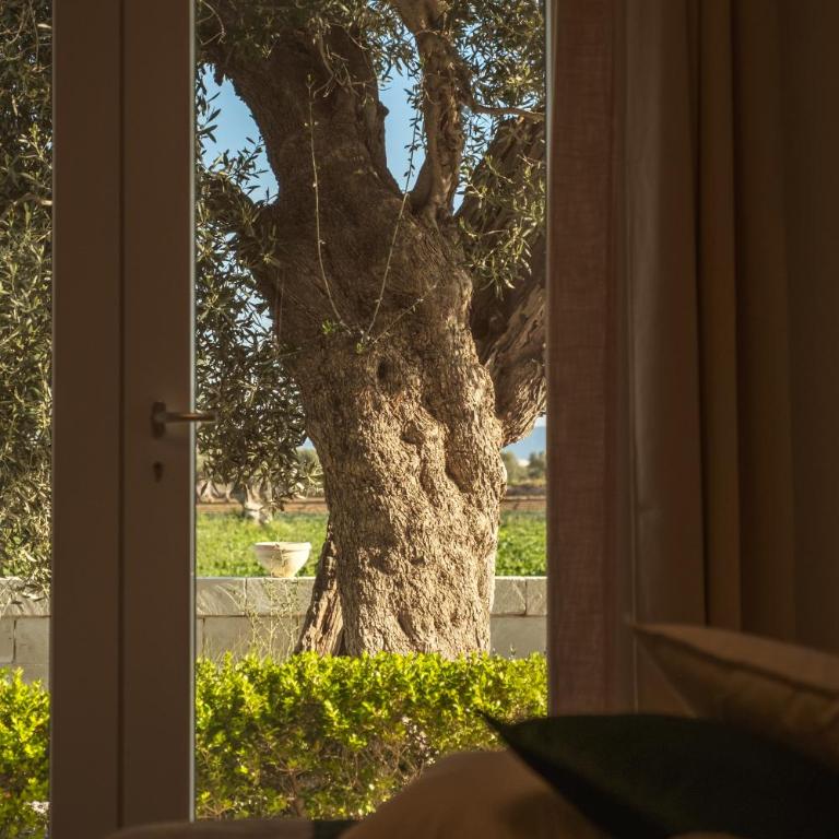 Villa Di Mola Egnazia and Pool - Appartamento con 2 Camere da Letto - 13