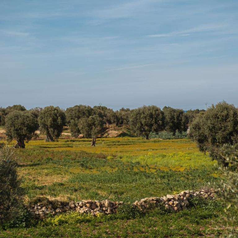 Villa Di Mola Egnazia and Pool - Appartamento con 2 Camere da Letto - 12