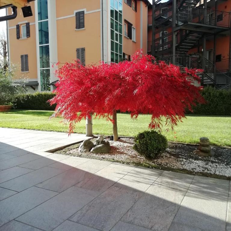 APPARTAMENTO ACERO - 2 min walk to Bernina Express - 150metri - Maisonette - 2