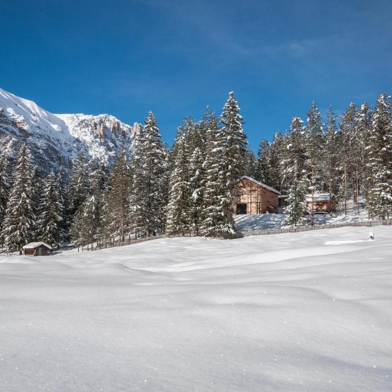 Mountain Lodge Tamersc - Chalet con 2 Camere da Letto - 13