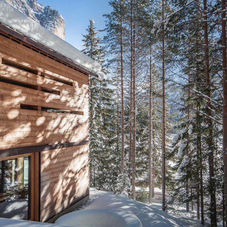 Mountain Lodge Tamersc - Chalet con 2 Camere da Letto - 11