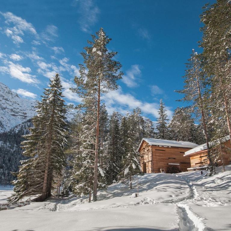Mountain Lodge Tamersc - Chalet con 2 Camere da Letto - 20
