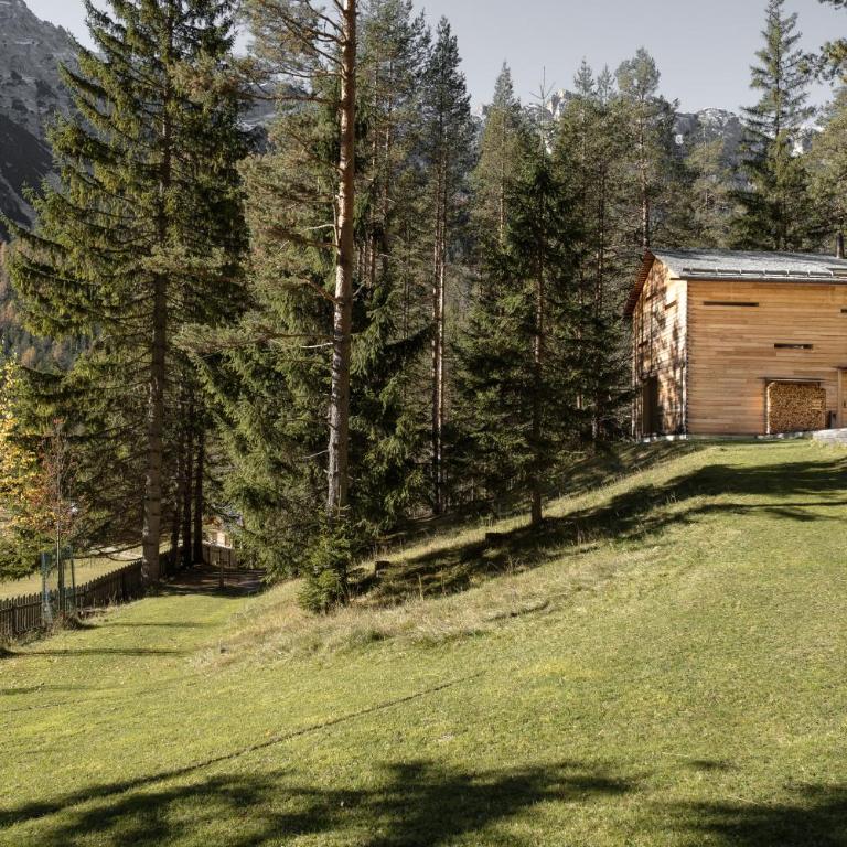 Mountain Lodge Tamersc - Chalet con 2 Camere da Letto - 27