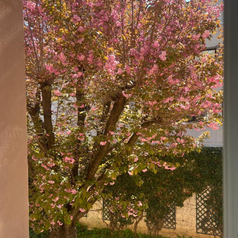 Maison Paris - Villa - 25