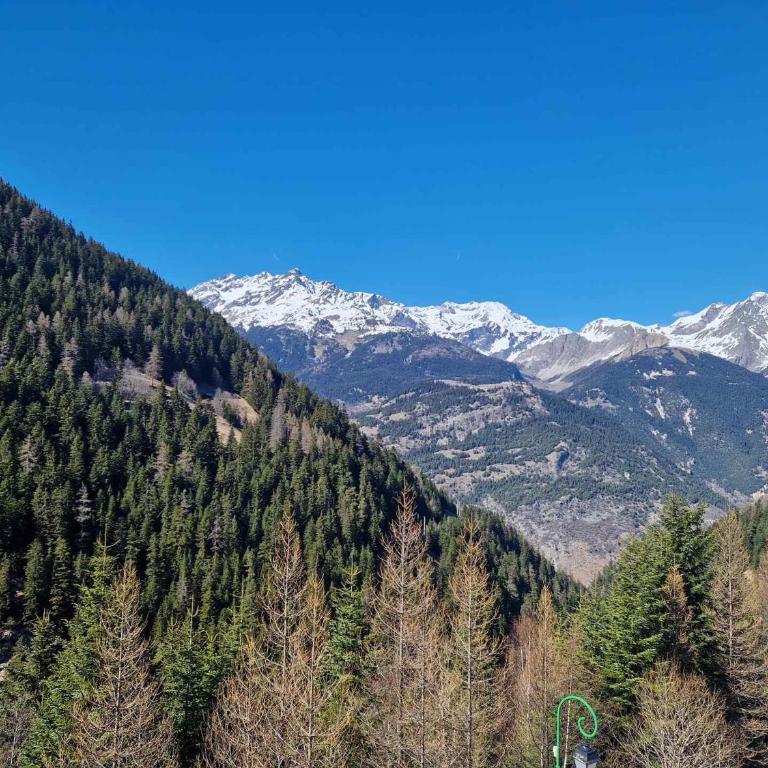Studio 4 pers. avec balcon, 20m², au cœur de Valfréjus - FR-1-265-245 - Studio - 15