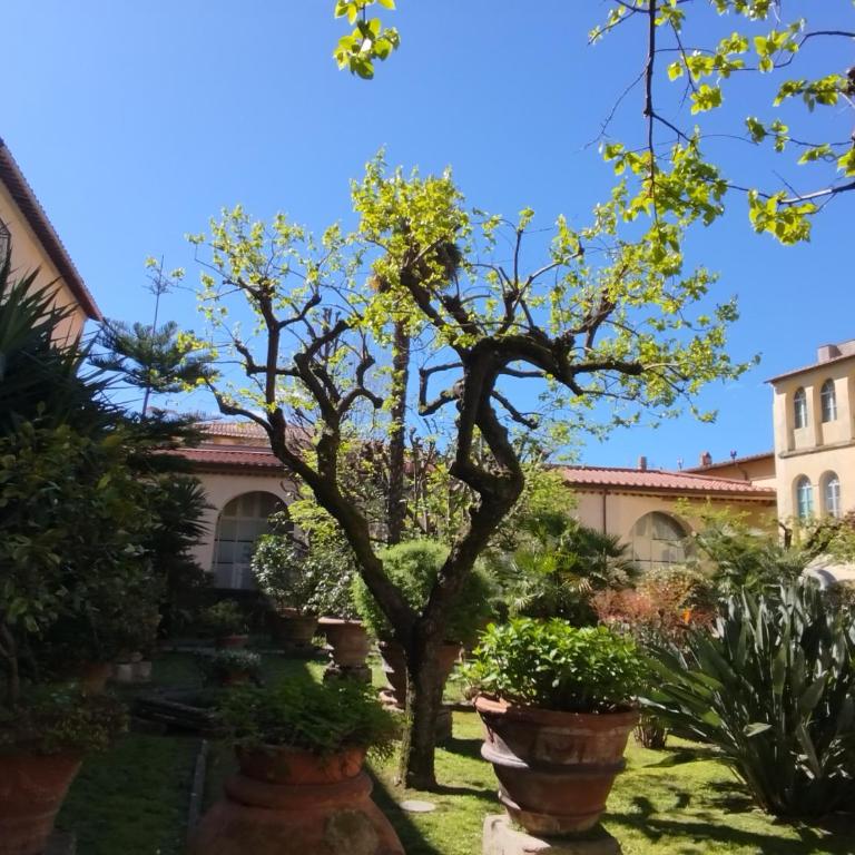 Casa per ferie religiosa Figlie di Nazareth - Camera Singola Standard - 17