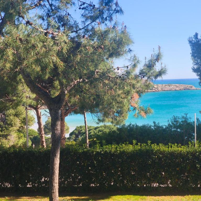 Beach & Flowers Free Parking - Apartamento con vistas al mar - 4