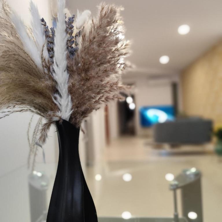 Alicante City Vibes - Apartamento de 2 dormitorios - 14