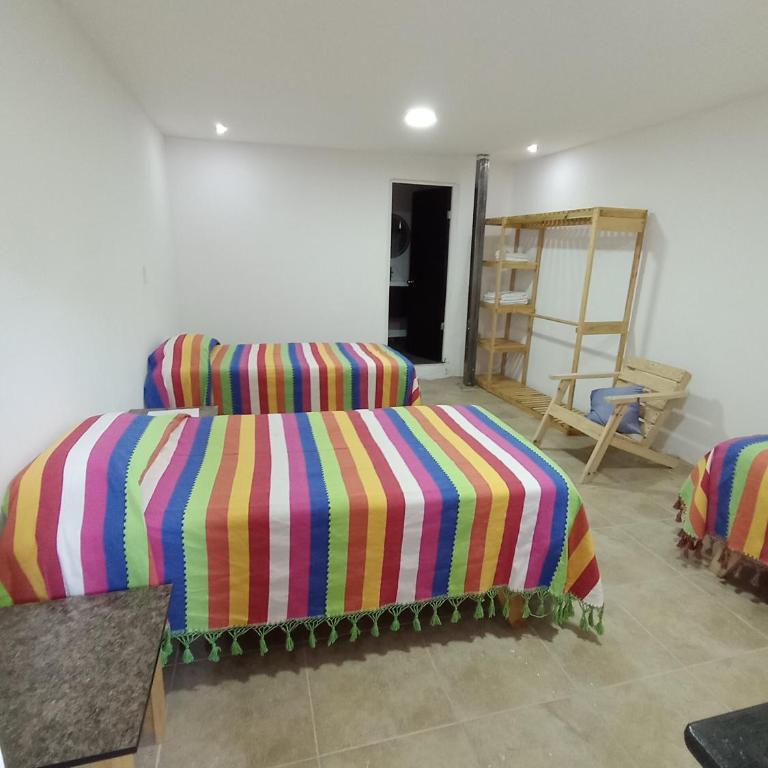 Iguana Coliving - Habitación Triple con vistas - 5