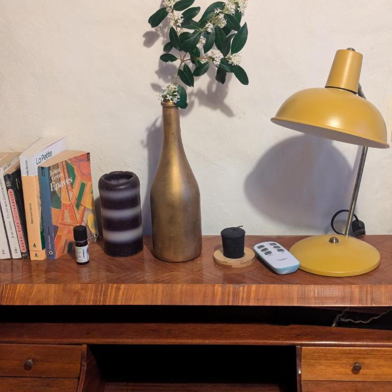 Studio écologique - Apartment mit 1 Schlafzimmer - 12