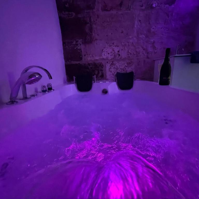 Luxe Caché Balnéo et Sauna Privés - 372 - Apartamento de 1 dormitorio con bañera de hidromasaje - 9