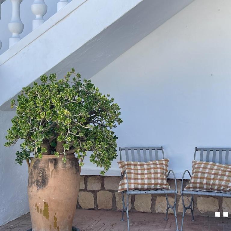 VH CostaBlanca - TIMON - Villa - 3