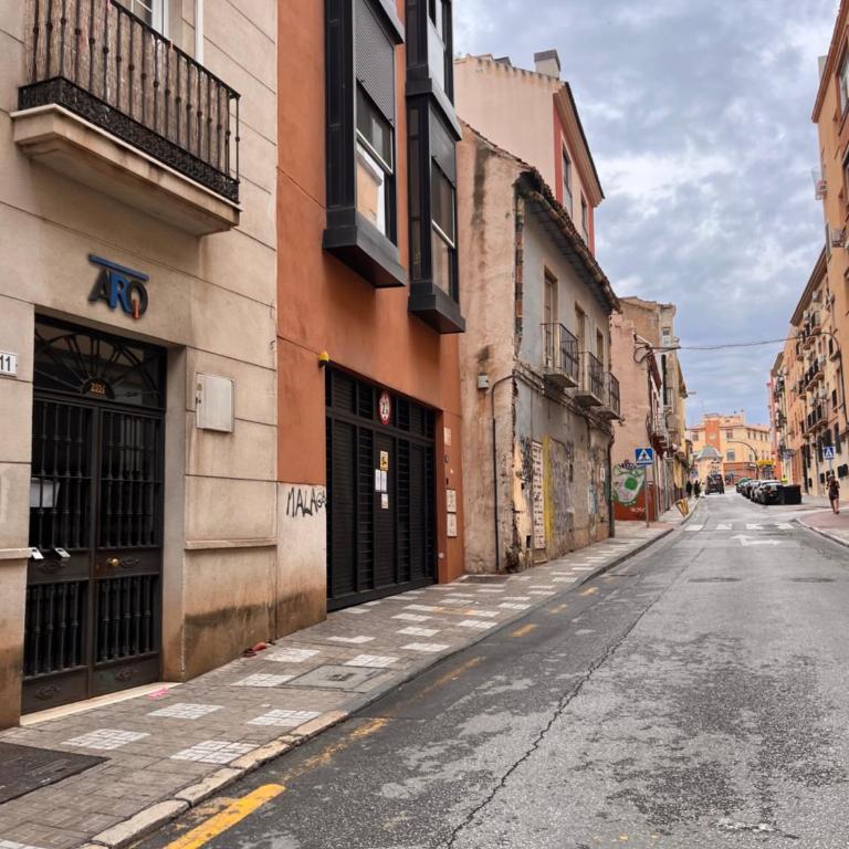 Homely Málaga Jinetes Loft - Apartamento de 1 dormitorio - 13