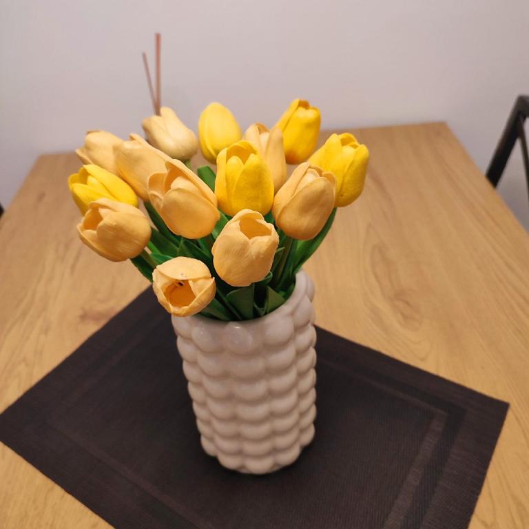 Banjski apartman - Apartman sa 1 Spavaćom Sobom - 8