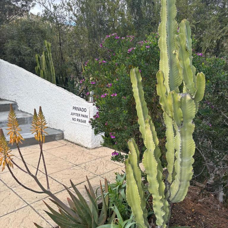 Casita Sea View Home Nestled in Hills with Rooftop Terrace - Apartamento de 2 dormitorios - 5