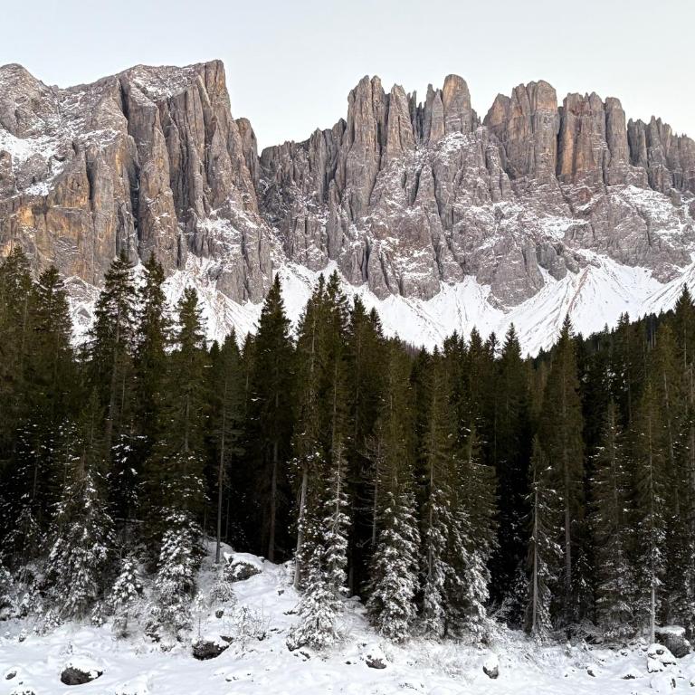 Chalet Tschattlhof Dolomites - Chalet Superior - 44