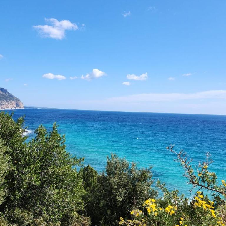 Casa delle Rose Terrazza vista mare panoramica e relax a Cala Gonnone, WiFi, AC - Appartamento con 2 Camere da Letto - 28