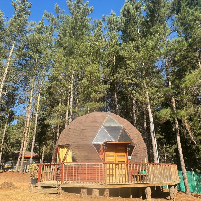Bosque Domo II - Apartamento Dúplex - 9