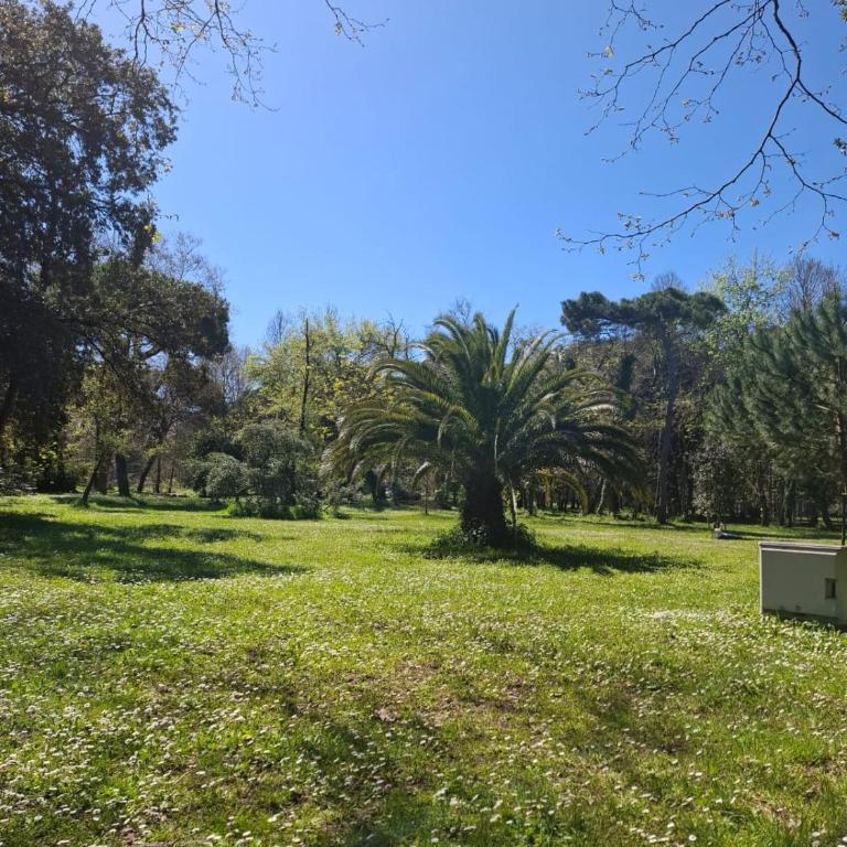 A due passi dal mare Lovely Apartment Viareggio - Appartamento con 2 Camere da Letto - 35
