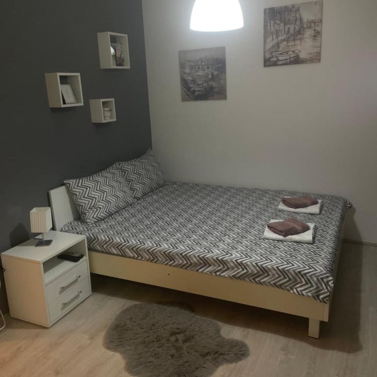 Vrnjacki apartmani - Apartment with Terrace - 5