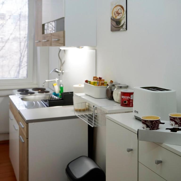 Mia City Center - Apartment Belgrade - One-Bedroom Apartment with Balcony - 9