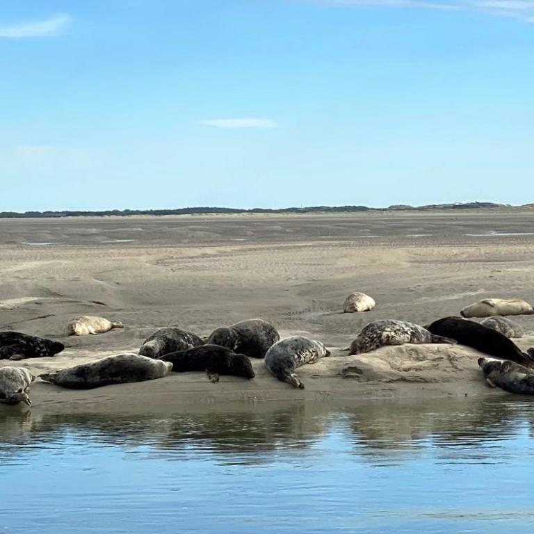 Fenêtres sur Mer - Apartment mit 3 Schlafzimmern und Meerblick - 25