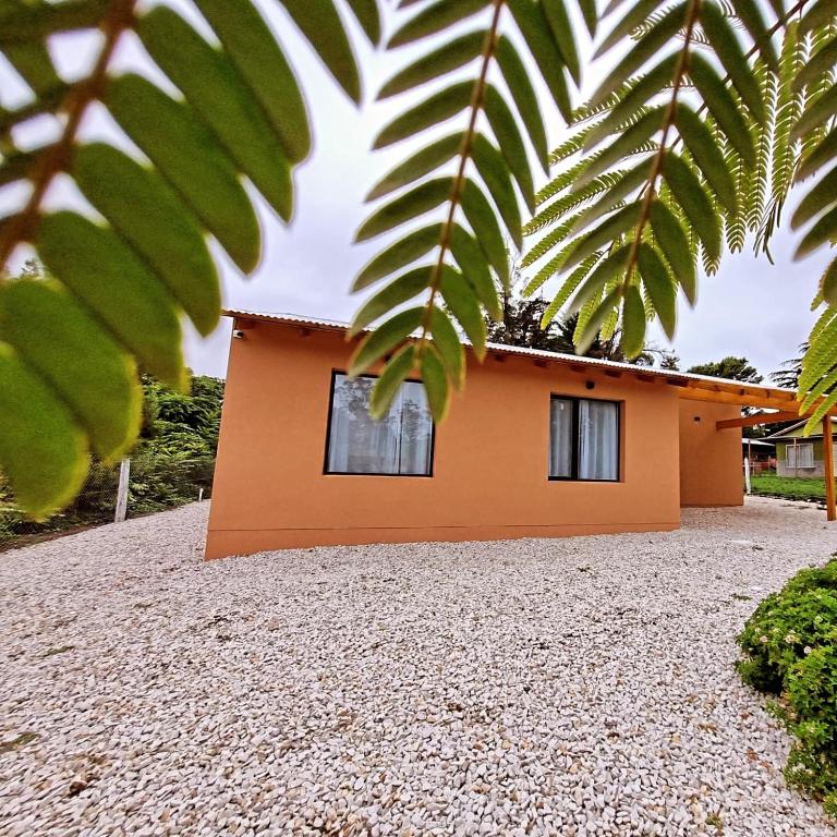 Abrakadabra - Apartamento de 1 dormitorio - 1