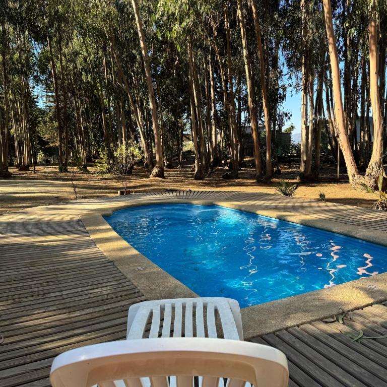 Cabaña Bosque Los Duendes - Four-Bedroom House - 9