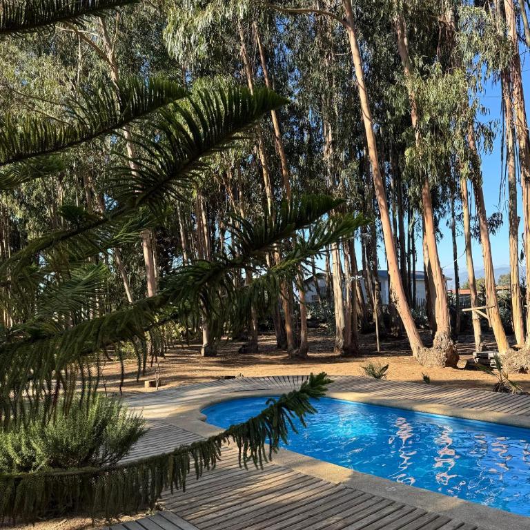 Cabaña Bosque Los Duendes - Four-Bedroom House - 19