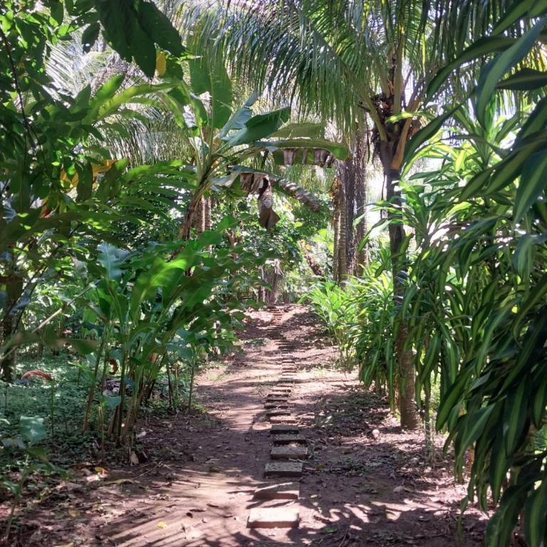 JARDIN DE LAS MUSAS - Cabaña con vistas al jardín - 20
