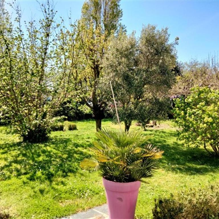 Maison familiale avec jardin, parking privé et wifi aux Sables-d'Olonne - FR-1-331-35 - Maison de Vacances (6 Adultes) - 15