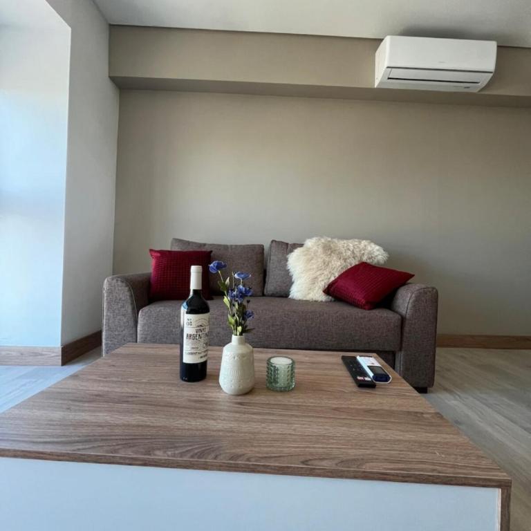 Exclusivo piso 12 en el centro de Mendoza - Apartamento de 1 dormitorio - 44