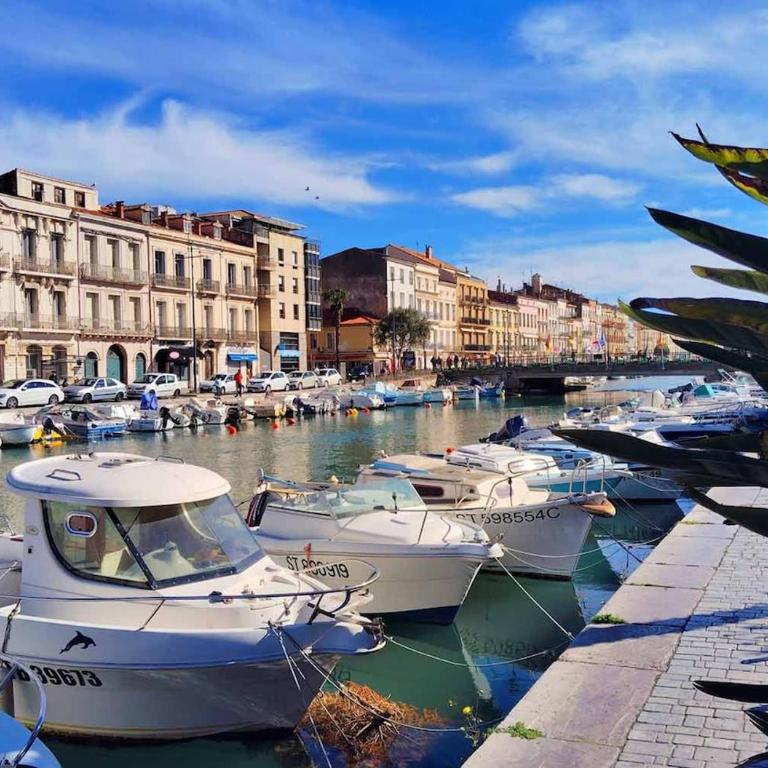 Appartement T2 - Sète centre ville - A deux pas des Halles - Apartment mit 1 Schlafzimmer - 14