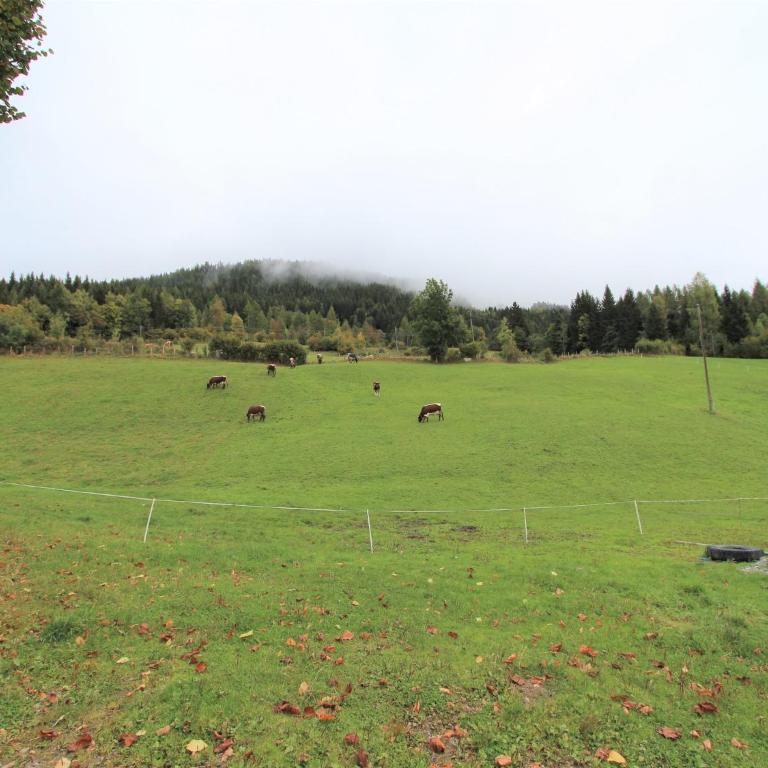 Characterful old farmhouse with 4 apartments in Fresach Carinthia with garden - Ferienhaus mit 6 Schlafzimmern - 6