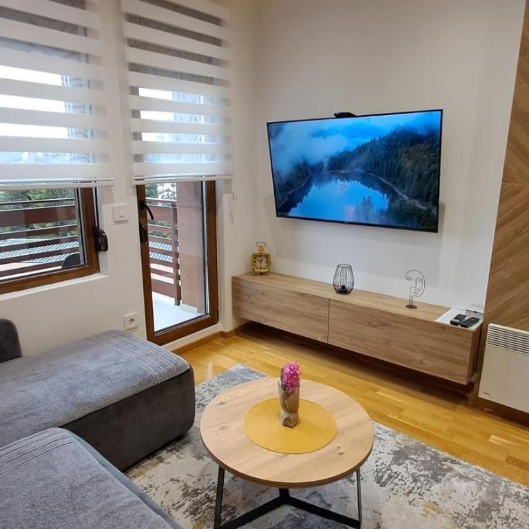 Apartmani La Vista - Gomax 2 & SPA centar - Superior Apartman - 20