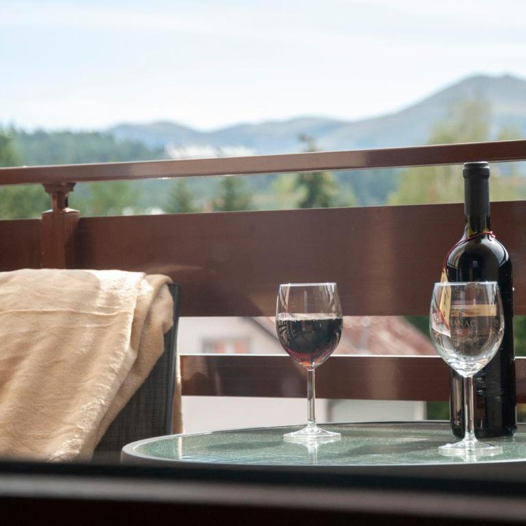 Apartmani La Vista - Gomax 2 & SPA centar - Apartman s 1 Spavaćom Sobom i Balkonom - 20