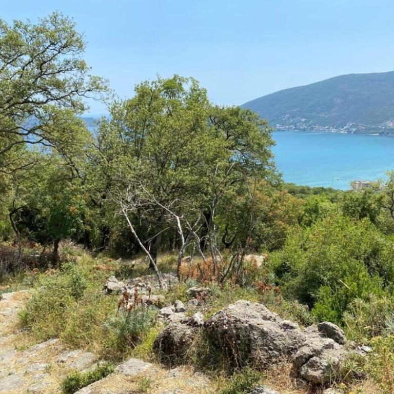 Apartment Steven - Apartman sa 1 Spavaćom Sobom - 30
