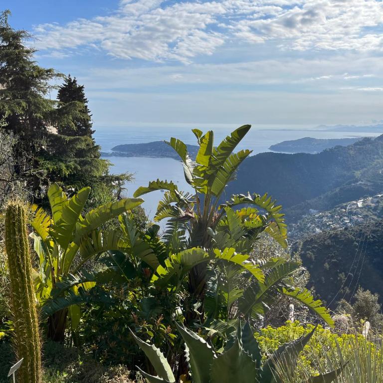Appartement Eze Village proche Monaco fabuleuse vue mer et vieux village - Appartement 2 Chambres - 28